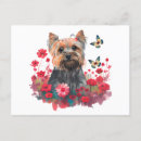Buscar yorkshire terrier postales Flores