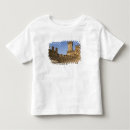 Buscar castillos medievales camisetas Destino turístico