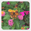 Buscar lantana pegatinas Rosa
