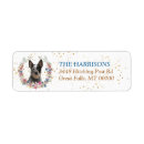 Buscar heeler postales Animal