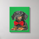 Buscar murales mascotas Fotografía