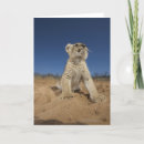 Buscar namibia tarjetas Naturaleza