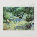 Buscar olivares postales Van gogh