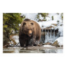 Buscar nieve fresca posters Naturaleza
