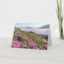 Buscar día soleado tarjetas Flor