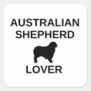 Buscar pastor australiano pegatinas Diversión