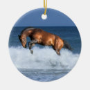 Buscar caballos de mar adornos Ecuestre