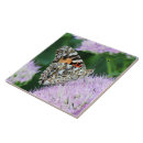 Buscar dama azulejos General y unisex