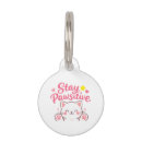 Buscar amantes animales collares Amante de los animales
