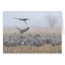 Buscar refugio de aves Fauna