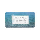 Buscar caballos de mar etiquetas Océano