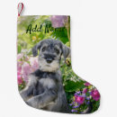 Buscar flor calcetines navideños Chica
