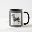Buscar del perro schnauzer clasica café tazas Schnauzers