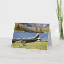 Buscar saco tarjetas Naturaleza