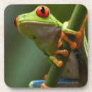 Buscar costa rica posavasos Animal