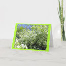 Buscar dorsal tarjetas Primavera