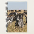 Buscar cebra agendas Vida silvestre