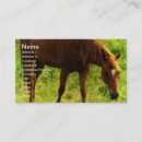 Buscar comer tarjetas de visita Fotografía