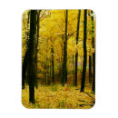 Buscar autumn imanes Nature