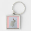 Buscar rabit Animal