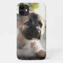 Buscar german iphone fundas Perro