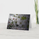 Buscar avispa tarjetas Abeja