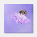 Buscar burbujas imanes Abeja de burbujas