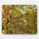 Buscar cambiar alfombrillas de raton General y unisex