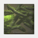Buscar bacteria imanes Ilustracion