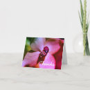 Buscar ladybug tarjetas Naturaleza