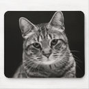 Buscar tabby alfombrillas de raton Gatito