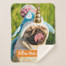 Buscar pug mantas Animal