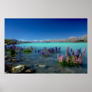 Buscar tekapo del lago decoracion Naturaleza
