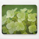 Buscar suavemente alfombrillas de raton Floral