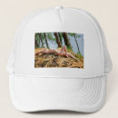 Buscar apacible gorras Paisaje