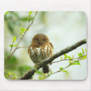 Buscar lechón alfombrillas de raton Naturaleza