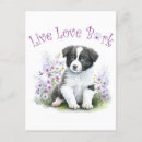 Buscar border collie postales Cachorro