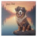 Buscar bernese azulejos Bernés