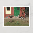 Buscar casa de perro postales Azul