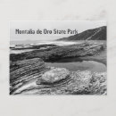 Buscar osos postales Blanco y negro