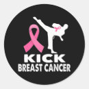 Buscar karate pegatinas Rosa