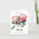 Buscar protea tarjetas Flores