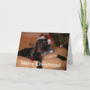 Buscar labrador tarjetas Navidades
