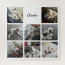 Buscar perros puzzles Gato