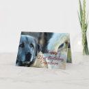 Buscar perros de trabajo tarjetas Para él