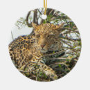 Buscar jaguar adornos Gato salvaje