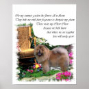 Buscar chow chow arte Adorable