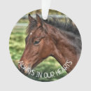 Buscar imágenes del caballo adornos Navidades