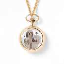 Buscar shih tzu accesorios Adorable