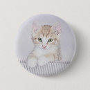 Buscar naranja gato chapas Lindo
